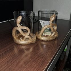 Snake Cups 