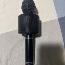 Karaoke Microphone 