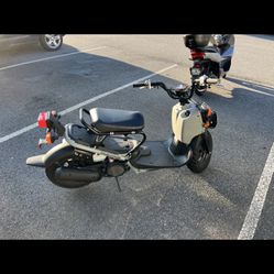 2022 Honda Ruckus