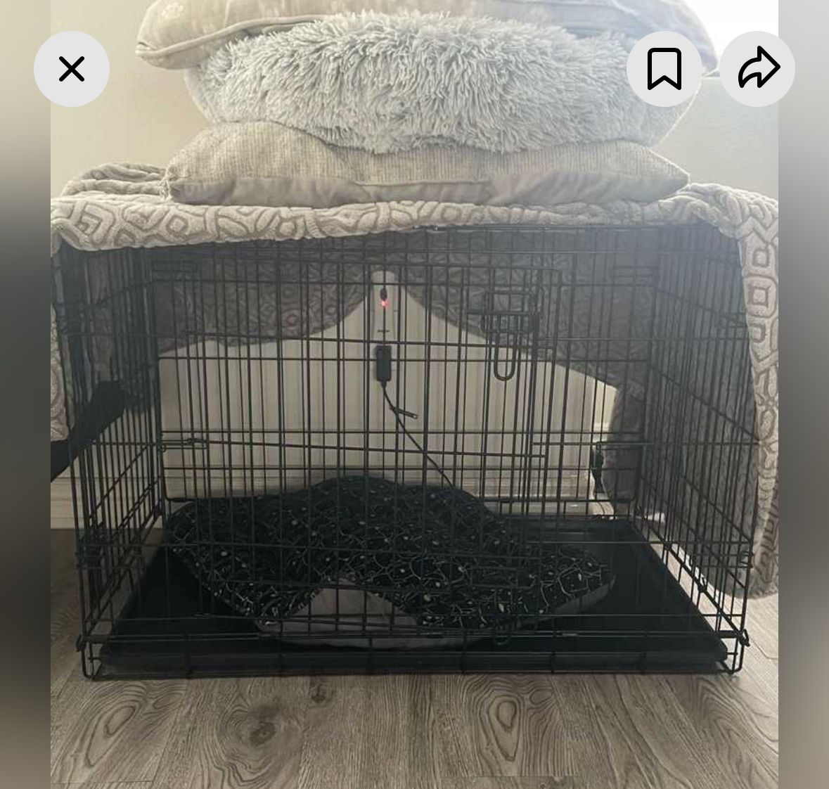 Dog Kennel