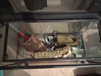 40 gallon reptile tank and 30 gallon