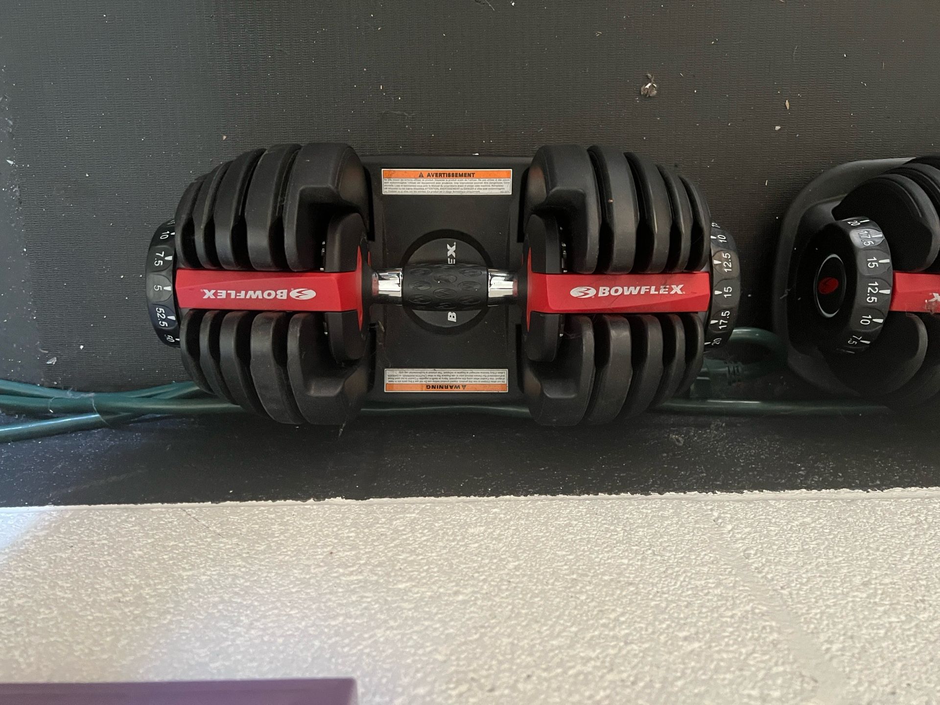 Bowflex Adjustable Dumbbell Weight Set