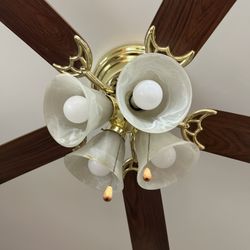Ceiling Fan. Getting Hot Out There!