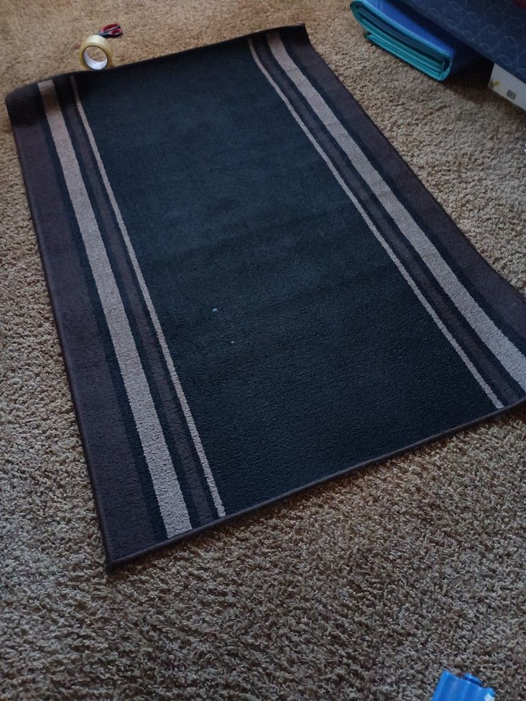 Carpet In Door Or Out Side Or Garage Nice 10.00