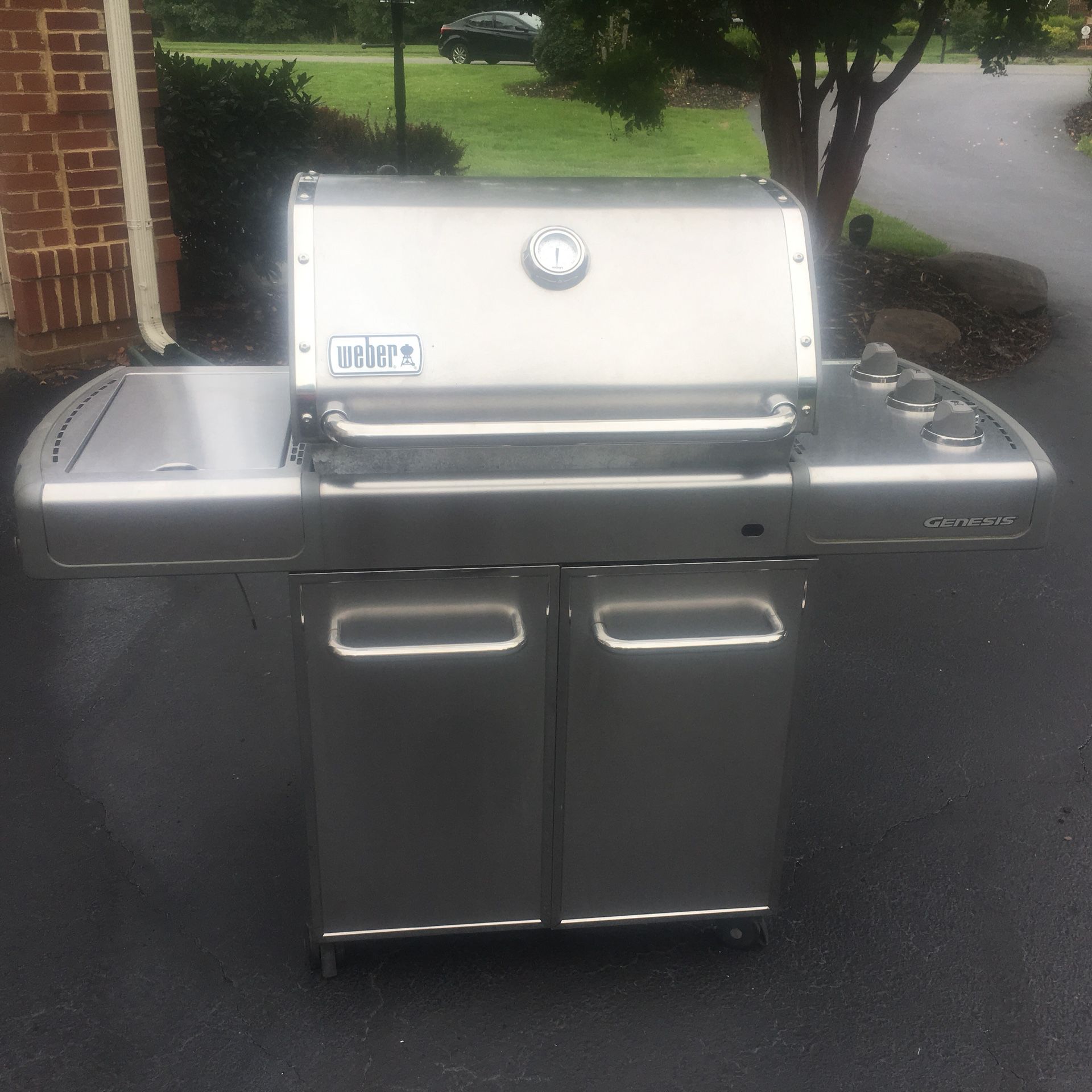 Weber Stainless Steel Genesis Natural Gas Grill