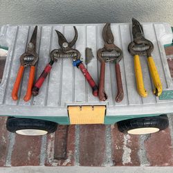 Pruning Shears