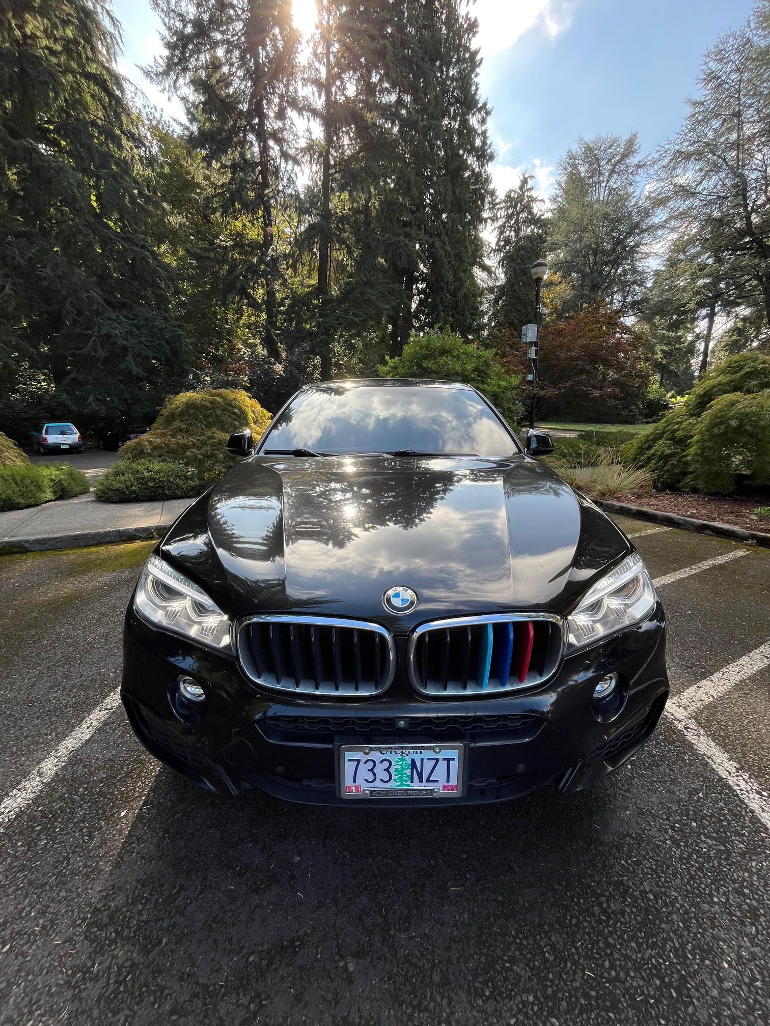 2018 BMW X6