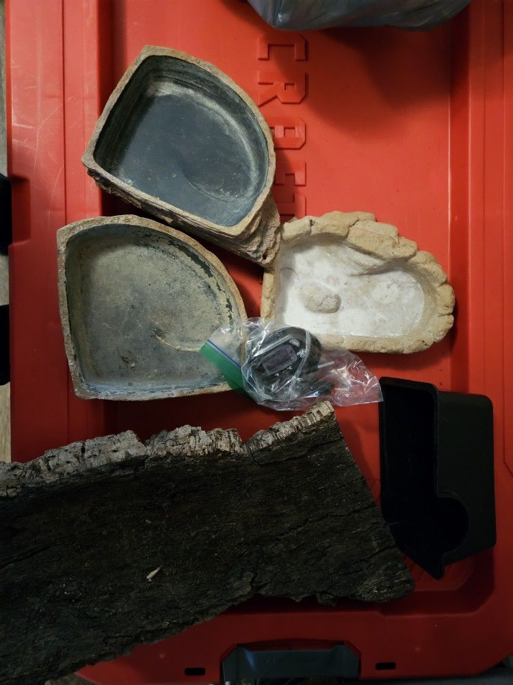 Reptile Decor