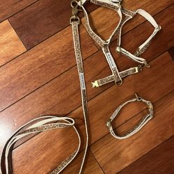 Dog Harness, Leash and Collar For Small Dog