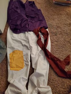 Aladdin costume