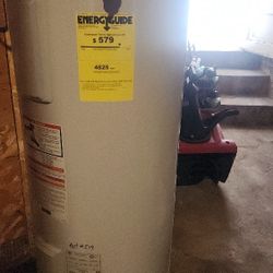 50 Gallon Electric Hot Water Heater Lochinvar Works Perfect -  Used 