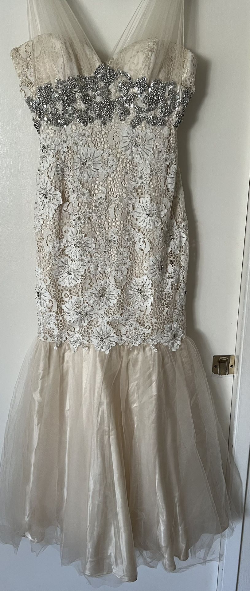 Winter Ball/Prom/Formal Dress!