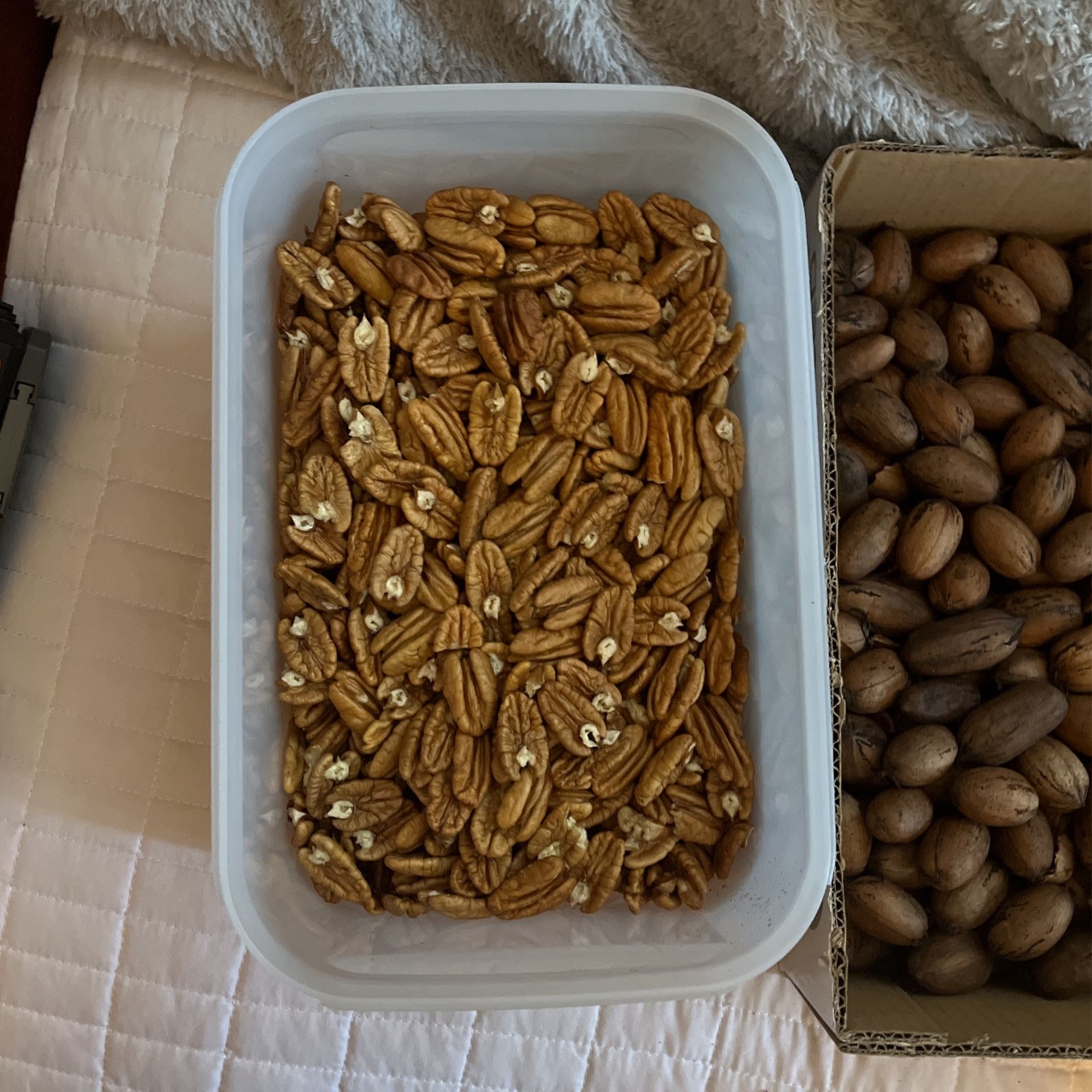 Peacons