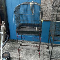 Bird Cage