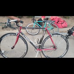 TREK 2200 carbon fiber road bike