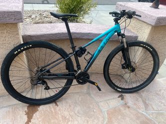 Liv Tempt mountain bike 29er S frame