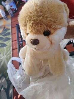 Gund Boo The worlds cutest dog