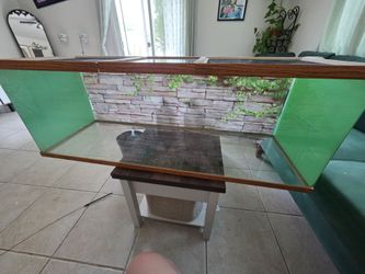 Reptile enclosure