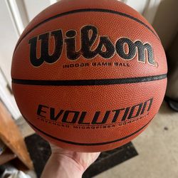 Mens Evolution indoor basketball