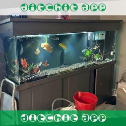 service simply Premium Fish Tank Setup – Stylish Design and Top Quality