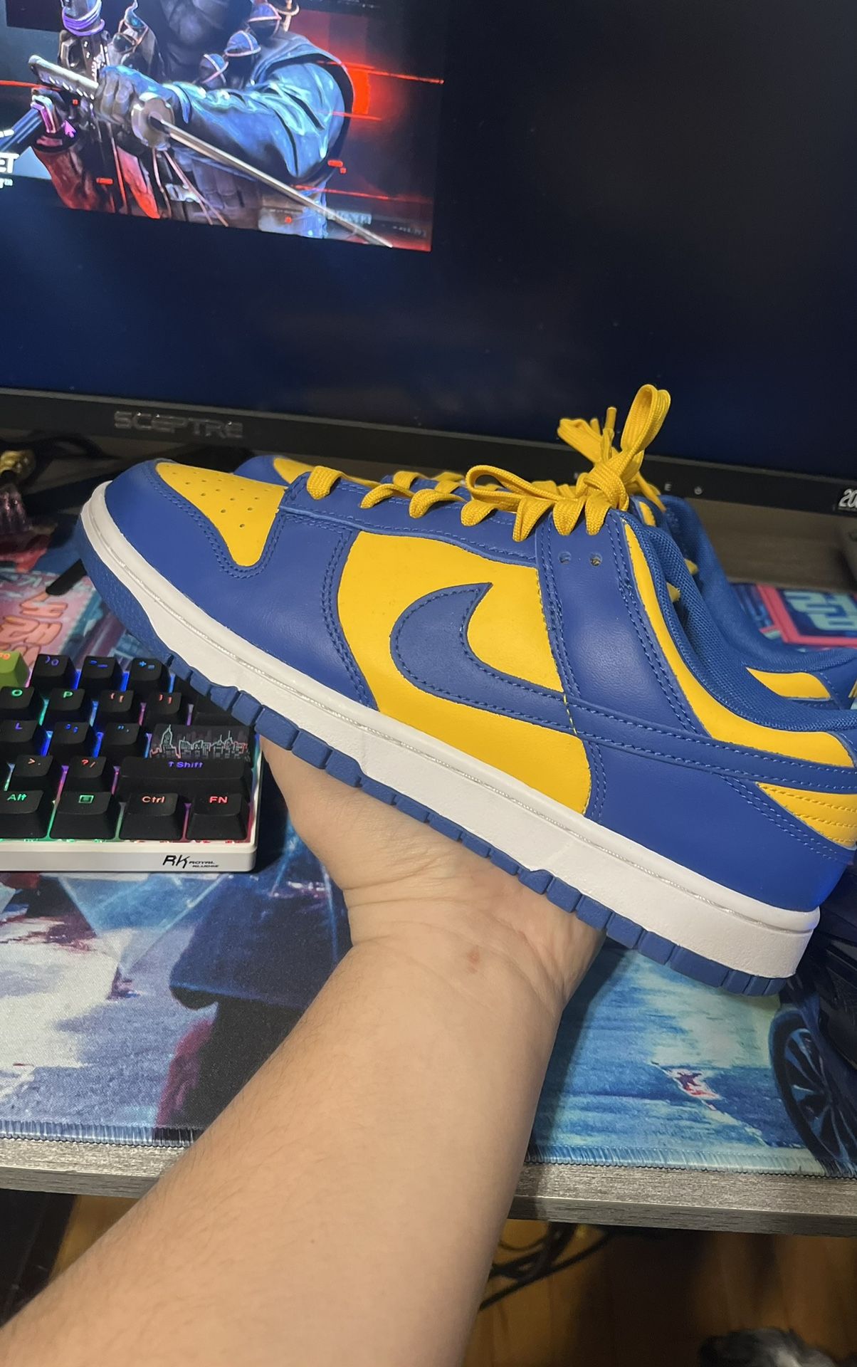 SB Dunk FS !!