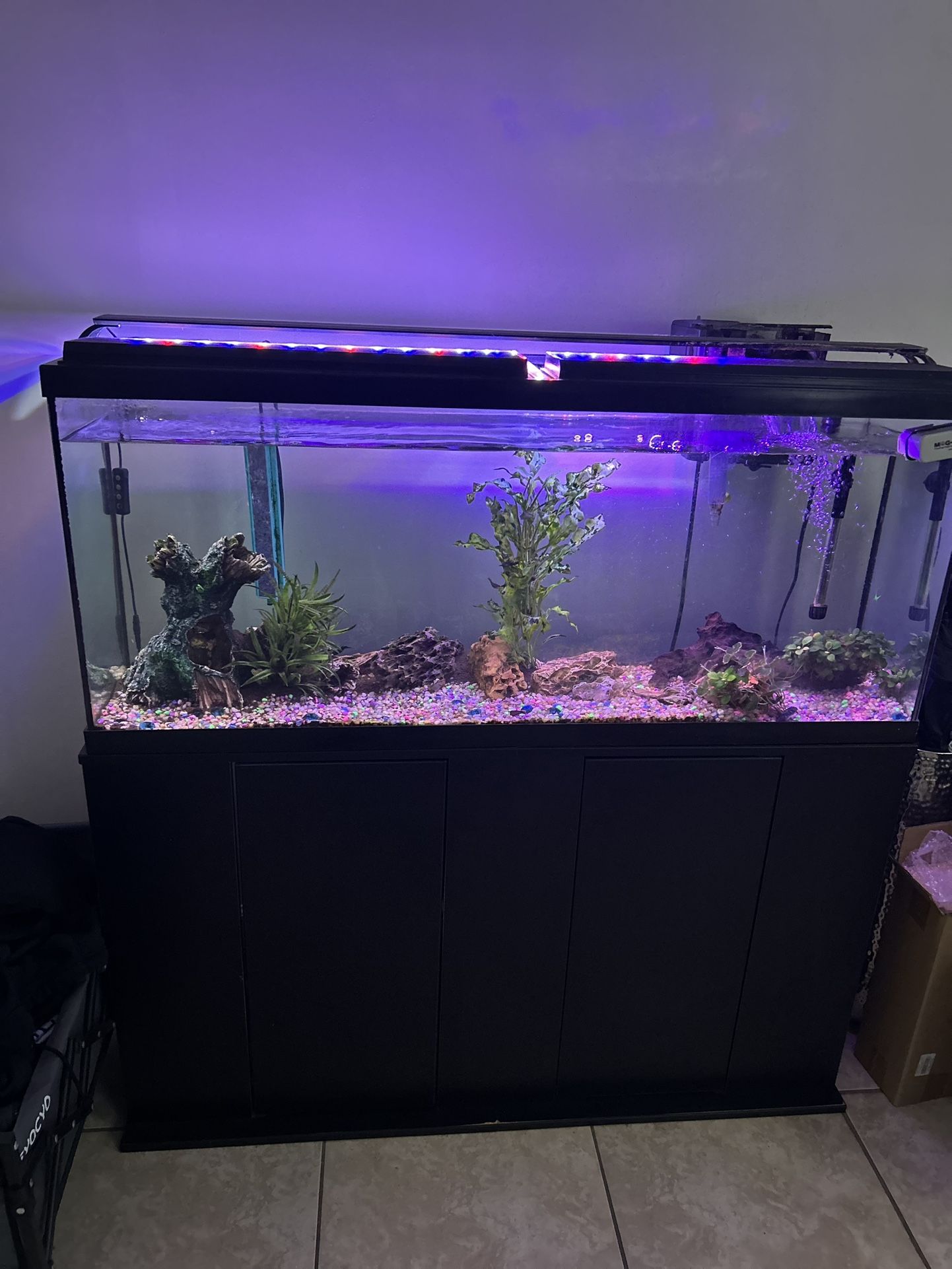 55 Gallon Aquarium With Stand