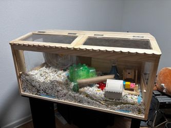 Hamster cage