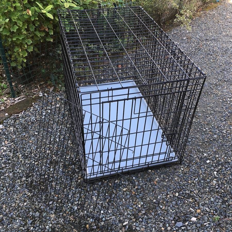 Double Door Large 36"L Wire Metal Dog Training Kennel Crate w/ Divider