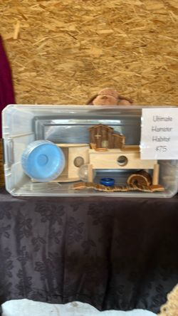 Ultimate Hamster Habitat