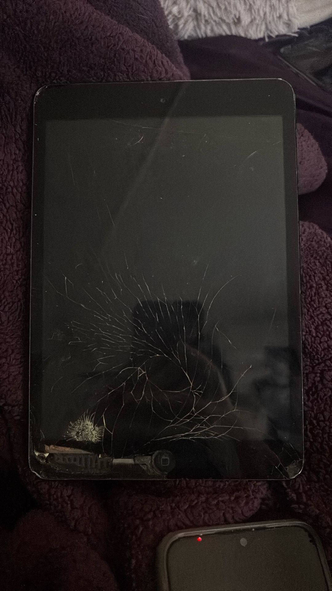 Ipad mini 1st generation