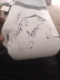 Boxing Gloves Autograph