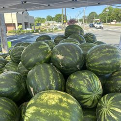 Watermelons 