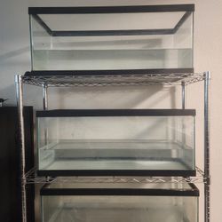 20g Fish Tank