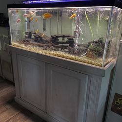 75 Gallon Aquarium Fish Tank Complete 