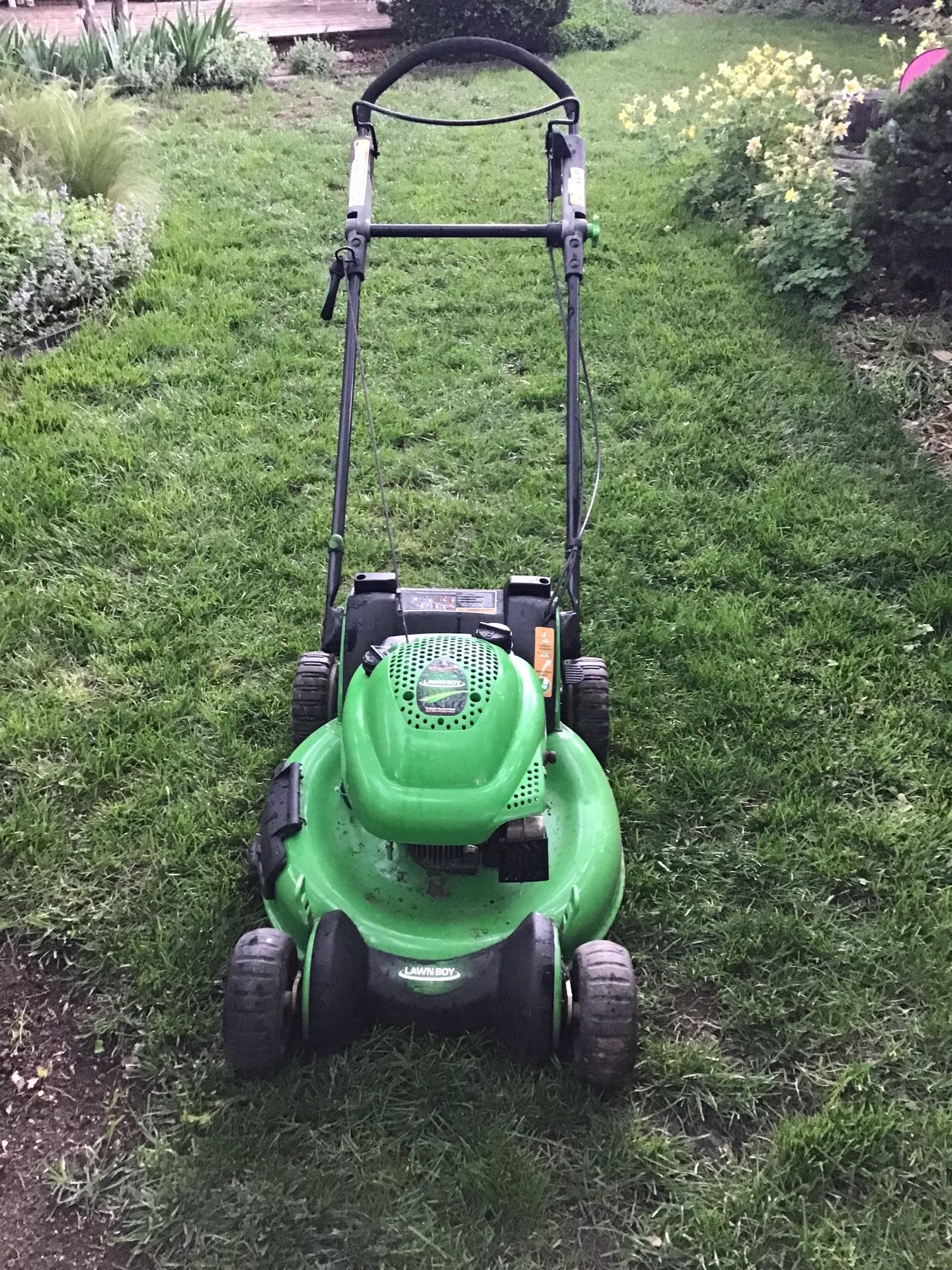 Lawn‑Boy Push Lawn Mower