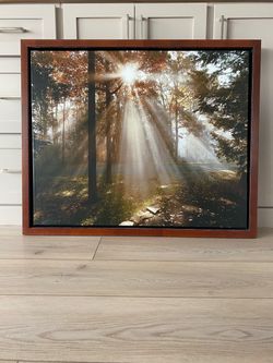 Framed Forest Sunray Canvas Wall Art