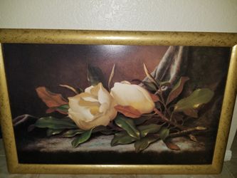 Framed magnolia picture