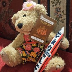 HAWAIIAN  COLLECTIBLE PASSPORT BEARFOOT BROWN SURFER TEDDY BEAR  PLUSH  