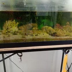 20 Gallons Of Live Rock And Sand
