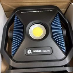 Lawsone/Partsmaster  AC/DC Flood Light