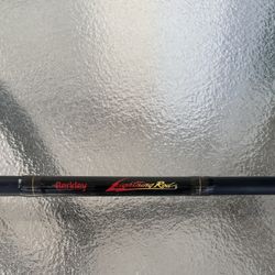 Berkley Lightning Rod™ Heavy Casting & Abu garcia fishing reel 5501C3 