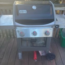 Weber barbecue grill?