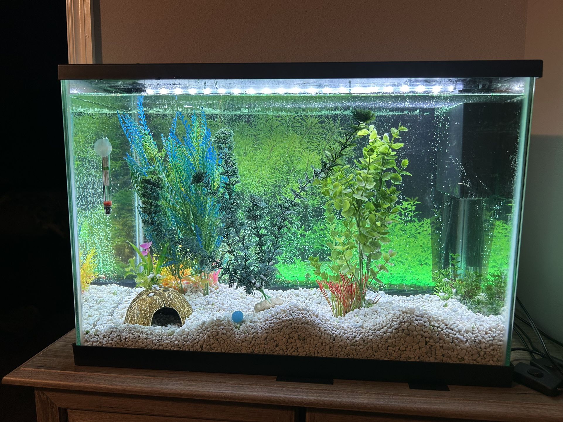 20 Gallon Starter Kit Fish Tank Includes Excellent Tank Filter.