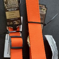Team Realtree Adjustable Dog Collar And Double Ply Leash