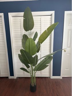 Large Artificial Bird of Paradise Plant in Black Pot