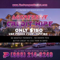 Aggressive Credit Wipe Service