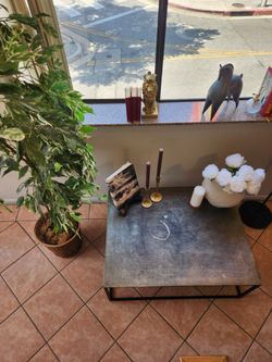 Industrial Sleek Parquet Metal Coffee Table