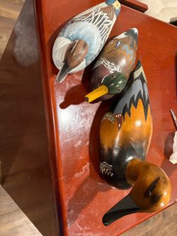 Ducks collection