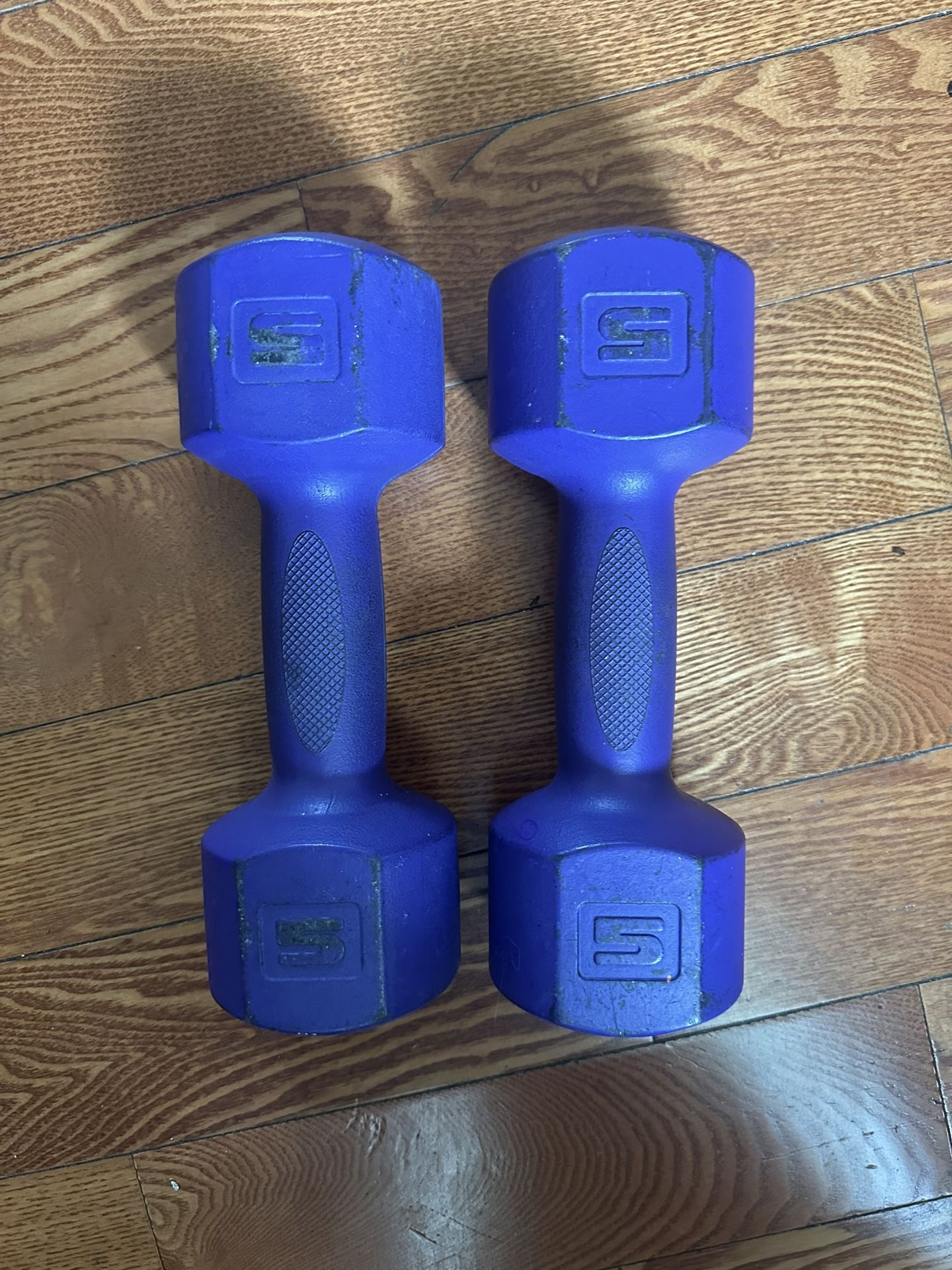 Dumbbells 5 IBS