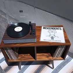* NEW * Custom made mid century modern vinyl record cabinet console stand shelf 12" LP MCM vintage retro antique 1960s 1970s 1980s custom built 